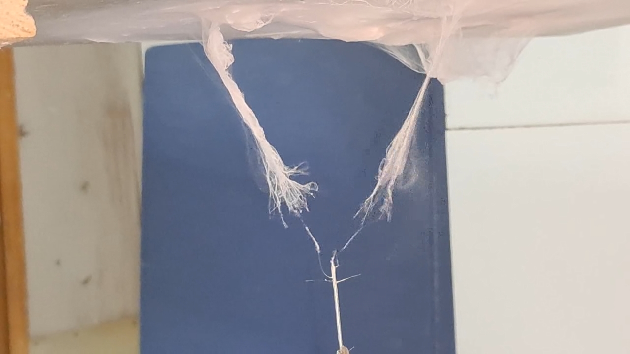 Electrospinning: Solutions of Polystyrene and Polyvinylidene Difluoride in Dimethylformamide